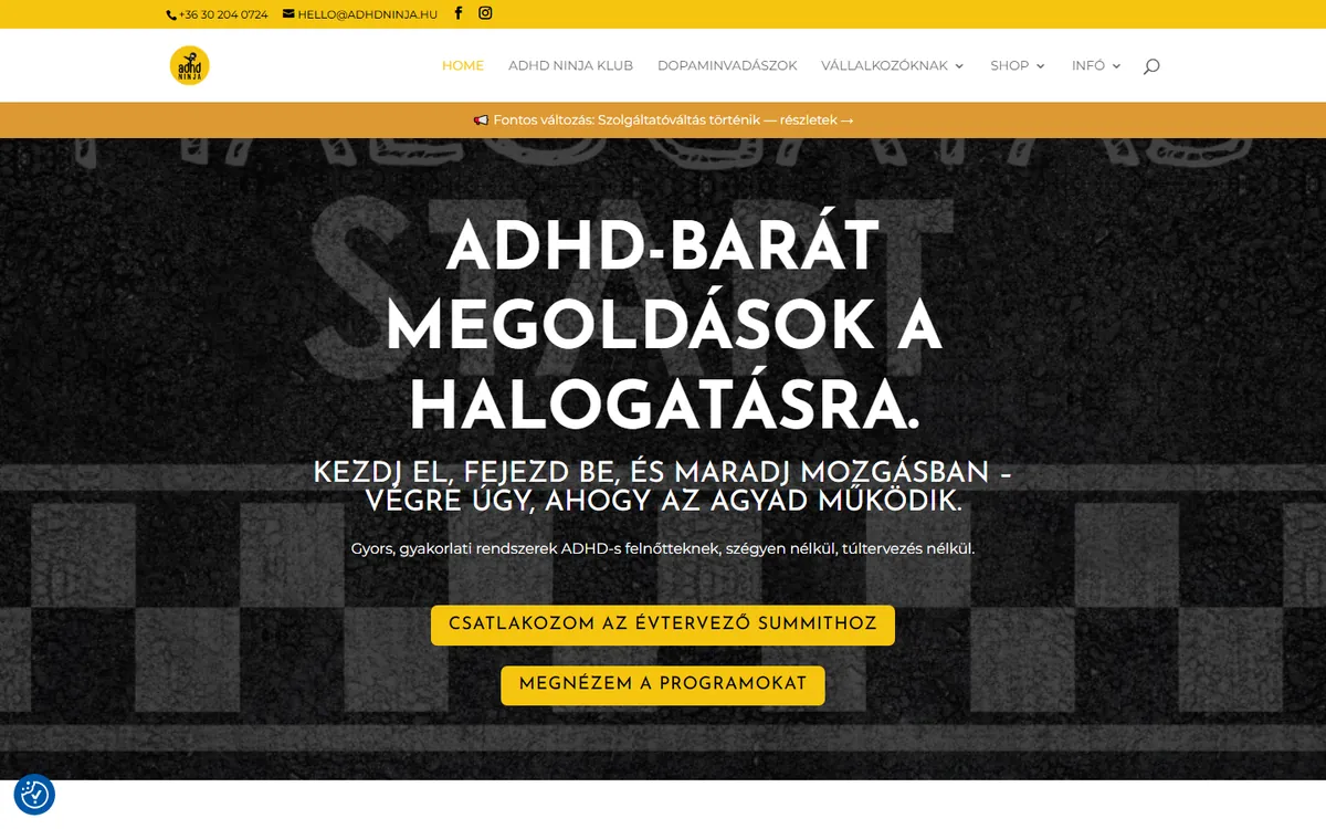 A(z) ADHD Ninja weboldal képernyőképe